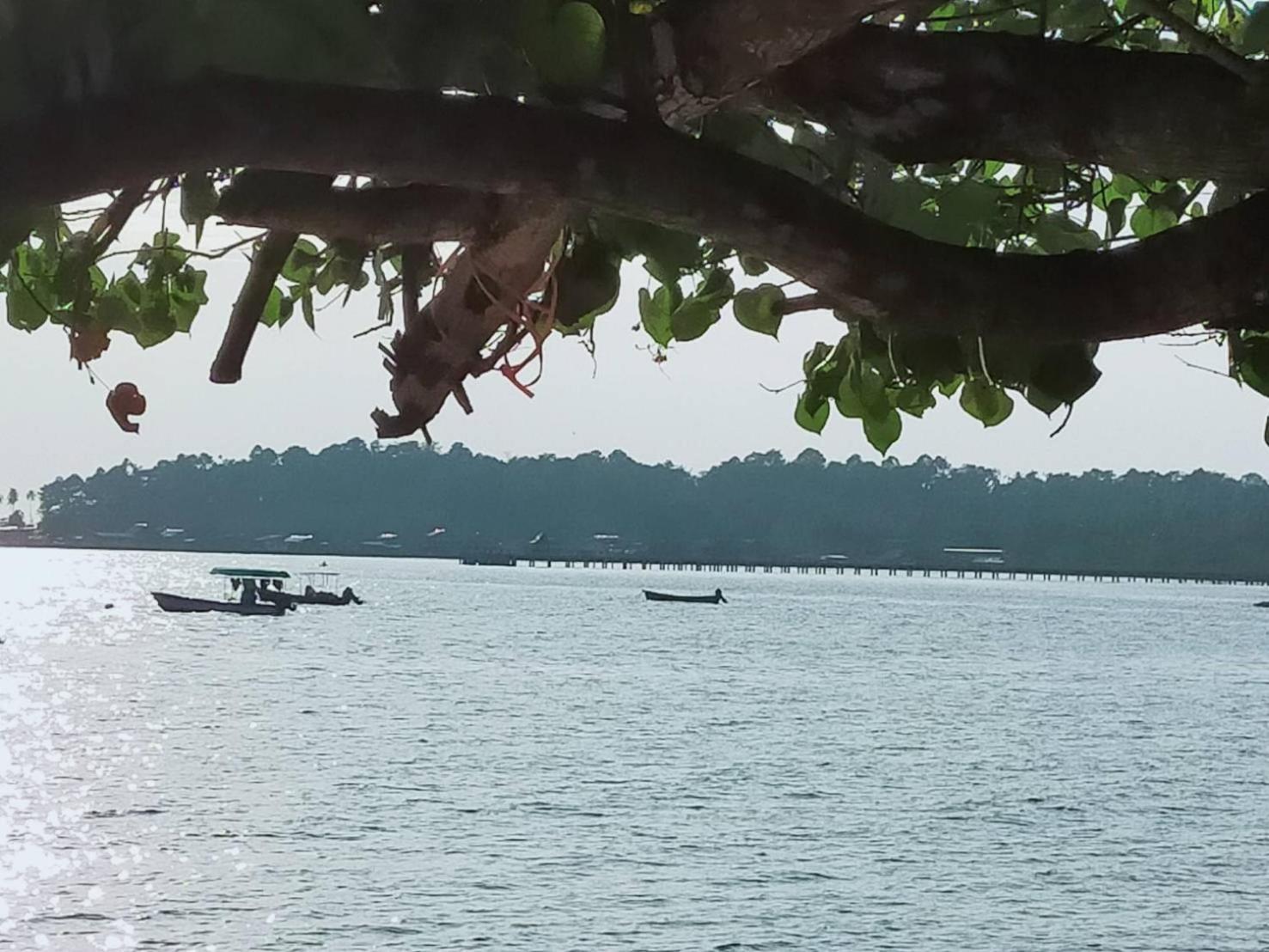 Eastique Hotel Koh Chang トラート エクステリア 写真
